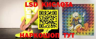 марки nbome Сланцы
