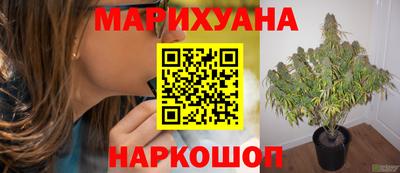 прущая мука Славгород