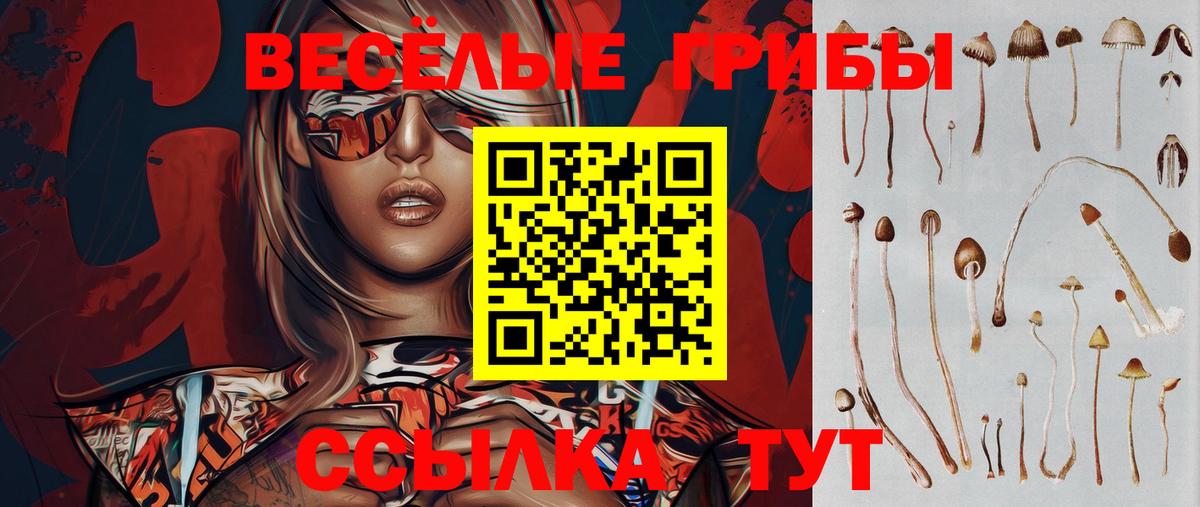 Псилоцибиновые грибы GOLDEN TEACHER Заречный